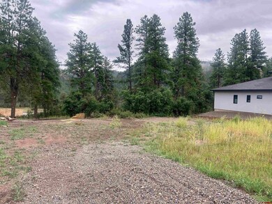 470 Edgemont Meadows Rd, Durango, CO 81301 - photo 4