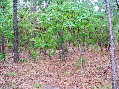 Lot at Middle