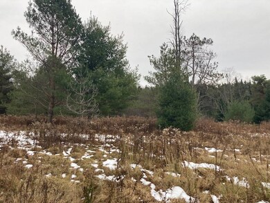 0 Rt 8 unit 11608225, Ohio, NY 13324 - photo 2