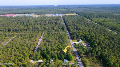 1131 Goldsboro Rd, Boiling Spring Lakes, NC 28461 - photo 2