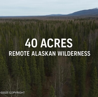 D001 W No Rd, Wasilla, AK 99654 - photo 2