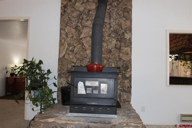 295 NW 10th St, Cedaredge, CO 81413 - photo 5