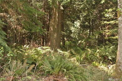 9999 Trader Ln, Port Ludlow, WA 98365 - photo 7