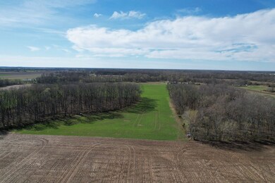 Off Pintail Rd unit Lot WP002, Tamaroa, IL 62888 - photo 6
