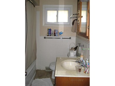 102 Ash St, Lodi, OH 44254 - photo 7