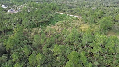 0 30th Ave SE unit 25698629, Naples, FL 34117 - photo 6