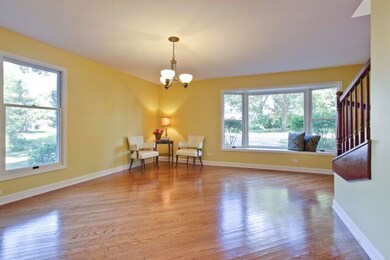 Hardwood Floor