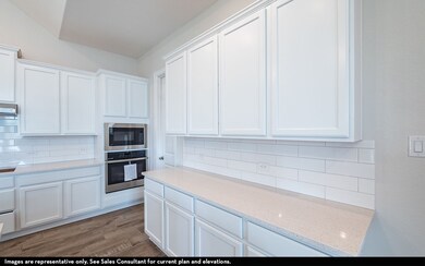 5901 Maddie Ann Dr, Celina, TX 75009 - photo 6