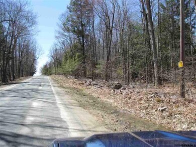 0 Gentile Rd unit 201820186, Stephentown, NY 12168 - photo 2