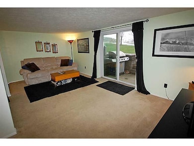 Living Room. lots of light from large sliding glas