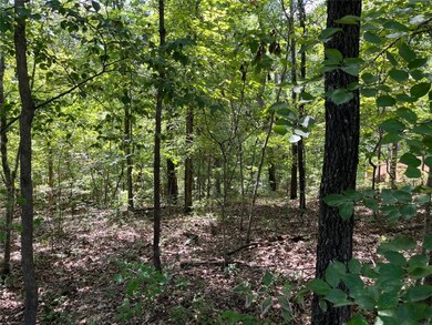 0 Burnham Dr, Bella Vista, AR 72715 - photo 7