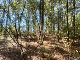 0 County Road 2202, Goshen, AL 36035 - photo 5