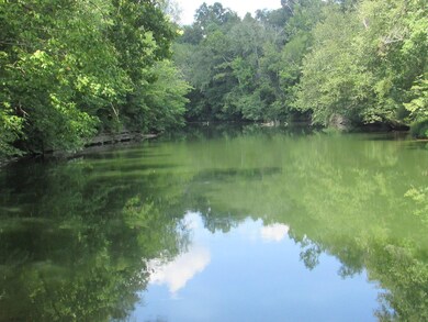 24 Hidden River Ln, Spencer, TN 38583 - photo 6