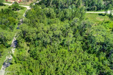 506 Ponce De Leon Blvd Lot 2 (7)
