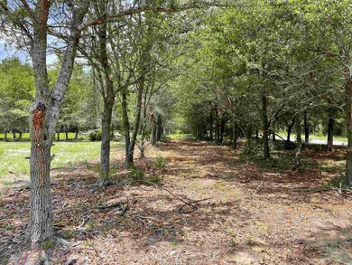 72 Brantly Rd, Andrews, SC 29510 - photo 3