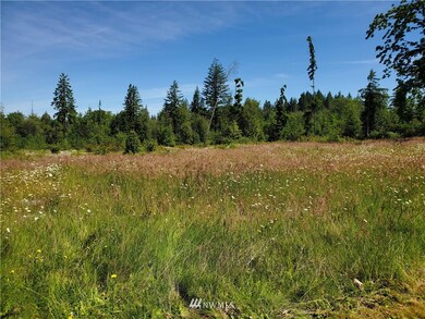 389 Avery Rd E, Chehalis, WA 98532 - photo 7