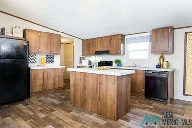 912 Butternut St, Carlsbad, NM 88220 - photo 5