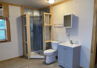 Bathroom featuring walk in shower, vanity, toilet,