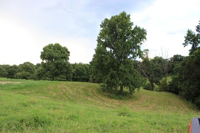 IMG_8586