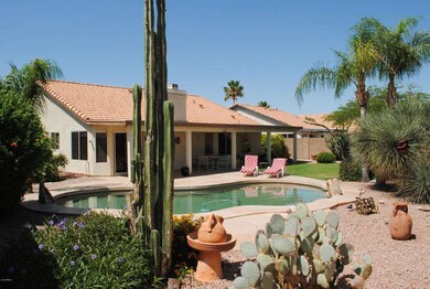 Beautiful Backyard for Relaxing