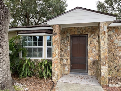 3016 W Meadow St, Tampa, FL 33611 - photo 3