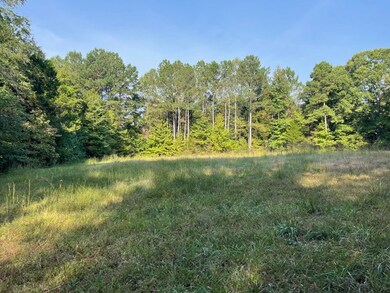 0000 Reynoldsburg Rd, Springville, TN 38256 - photo 3