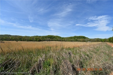 TBD Blk 1 Lot 11 E Steely Hollow Rd, Steely Hollow, OK 74464 - photo 2