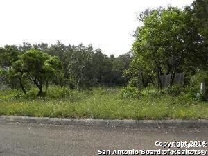 11218 Blue Waters, Helotes, TX 78023 - photo 3