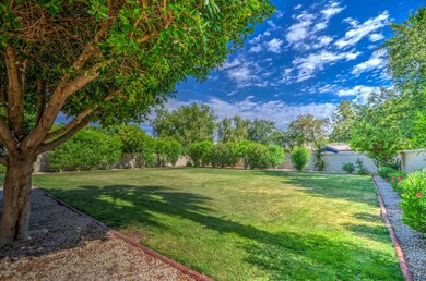 BIg backyard
