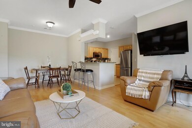 4550 Strutfield Ln unit 2211, Alexandria, VA 22311 - photo 3