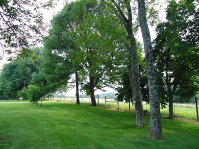 backfenceline