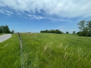 TBD E Side N White River Rd, Campbellsburg, IN 47108 - photo 3