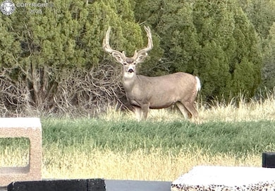 1840 Newton Rd, Pueblo, CO 81005 - photo 4