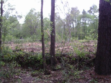 View from road.