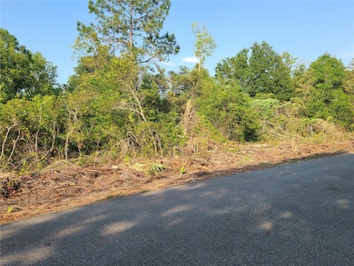 view of the side of the land