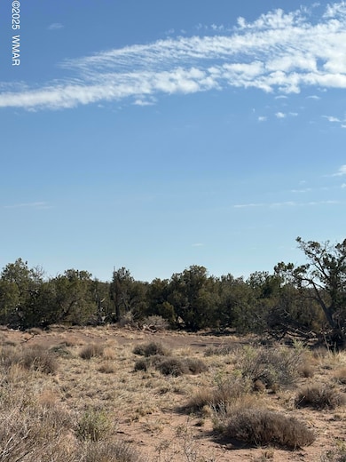 8580c Lawson Ln unit Parcel C, Snowflake, AZ 85937 - photo 3