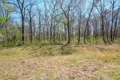 35800 S 590 Rd, Jay, OK 74346 - photo 5