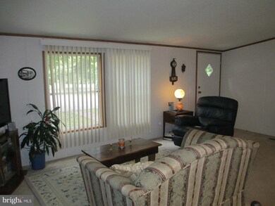 10707 Horseshoe Ln, Worton, MD 21678 - photo 4