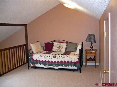 33 Camino Del Rio unit HEATHERWOOD VILLA CO, Gunnison, CO 81230 - photo 4