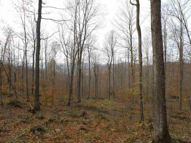 0 Happy Hollow Rd unit 4618716, Huntington, VT 05462 - photo 7