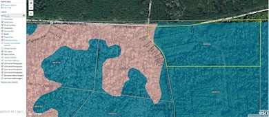 0 N County Line Rd unit 2058836, Perry, FL 32348 - photo 3