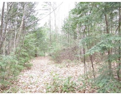 17 Jennison Rd, Wendell, MA 01379 - photo 3