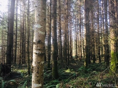 7232 188th St NW, Stanwood, WA 98292 - photo 4