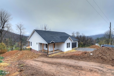 218 Old Siam Rd, Elizabethton, TN 37643 - photo 3