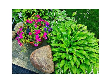 . Front yard landscaping