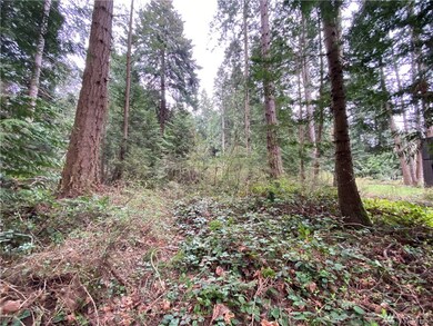 0 Claire Ln unit 1743022, Point Roberts, WA 98281 - photo 6