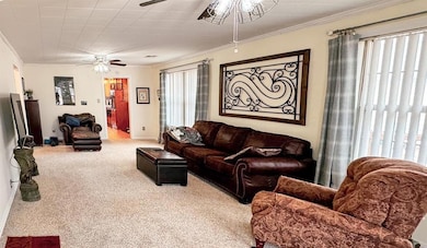 Carpeted living room with ceiling fan and crown mo
