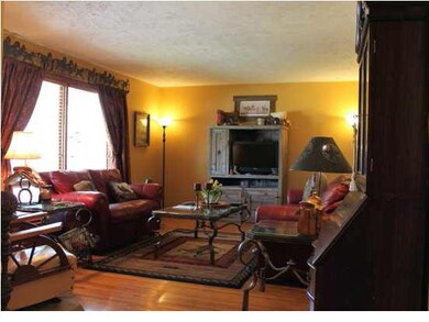 WARM LIVING ROOM WILL MAKE YOU FEEL PROUD TO ALWAY