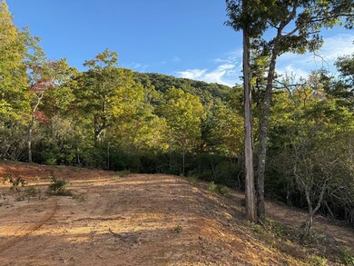 536 Cardinal Bluff Rd, Whittier, NC 28789 - photo 2