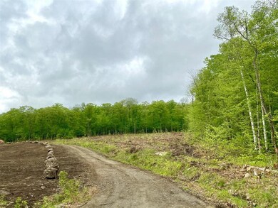 0 Route 115 unit 4862747, Carroll, NH 03598 - photo 7